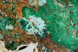 Polished Slab Of Malachite, Chrysocolla & Quartz - Australia #351981-6